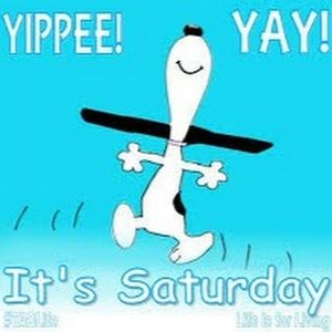 Meet your Posher, Dr lauren k